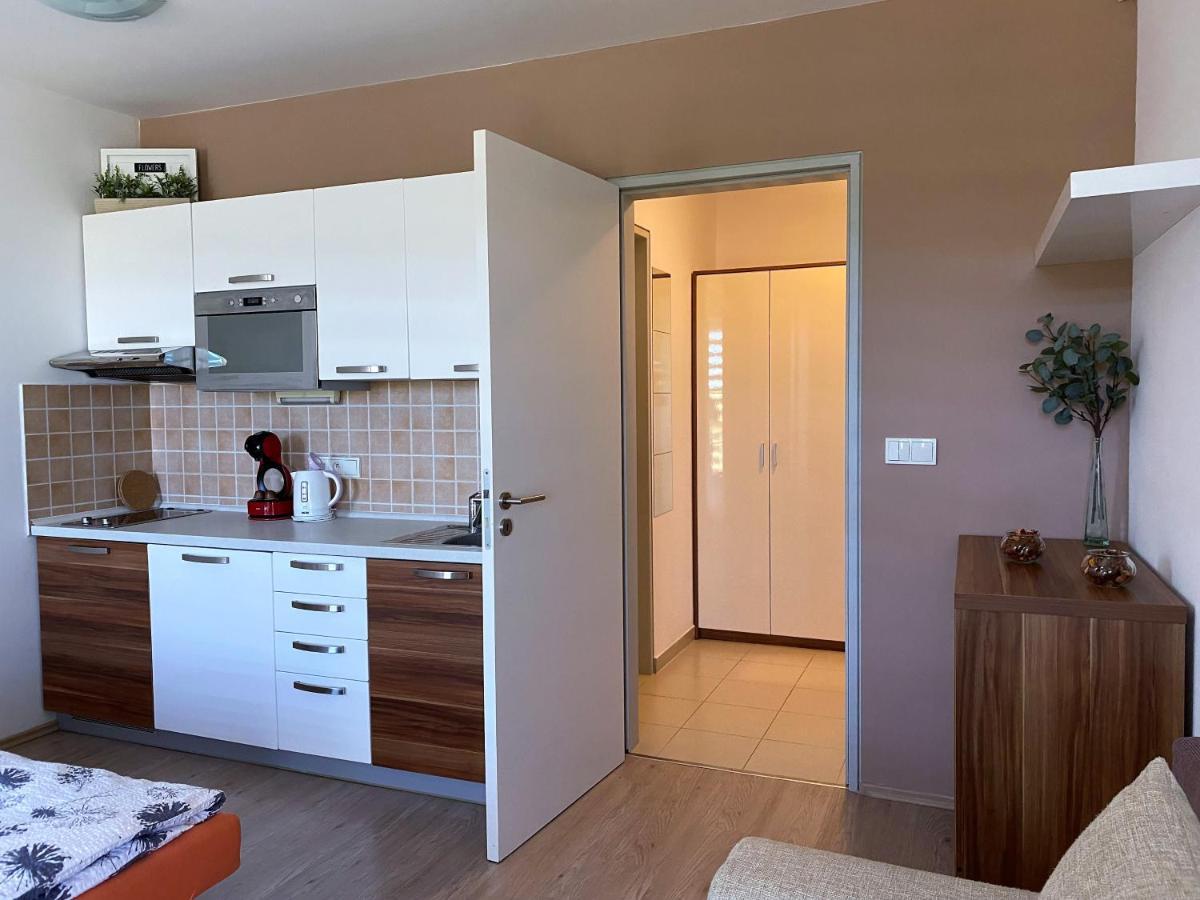 Miky Apartman Klinovec Meadow Loučná pod Klínovcem المظهر الخارجي الصورة